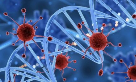 Differenzen Embryologie vs. Hamer-Keimblatt-Zugehörigkeit